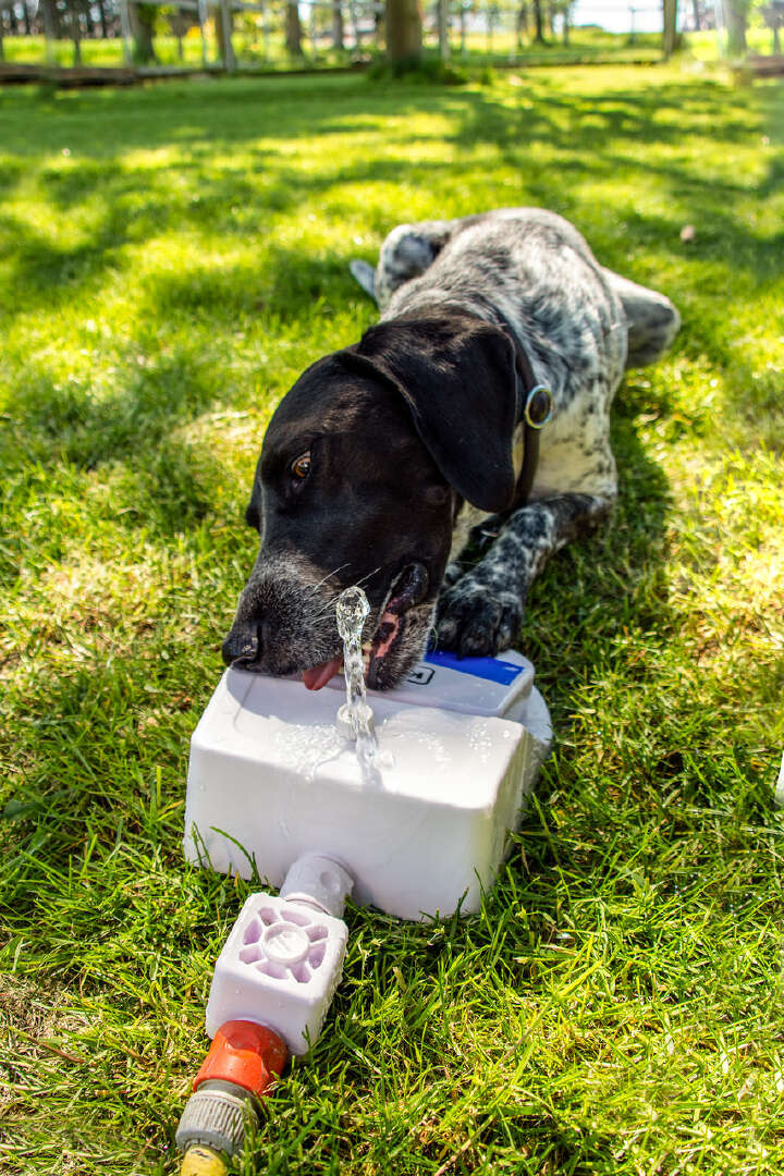 KARLIE Wasserfontaine "Splashy"